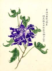交流会の様子2