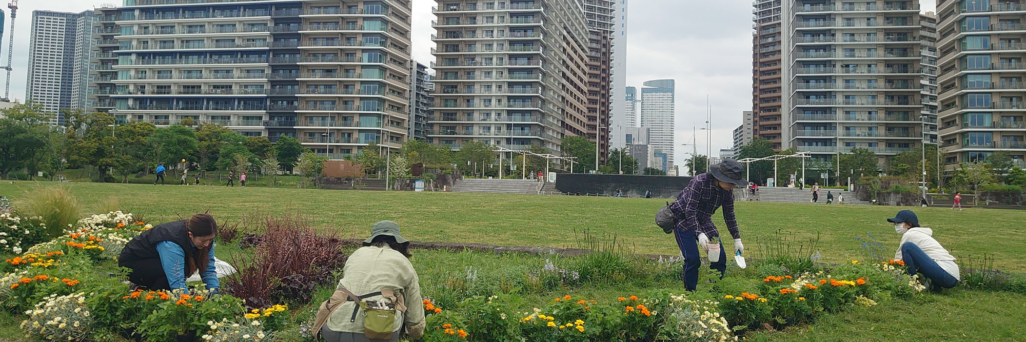 晴海ふ頭公園 花壇の写真